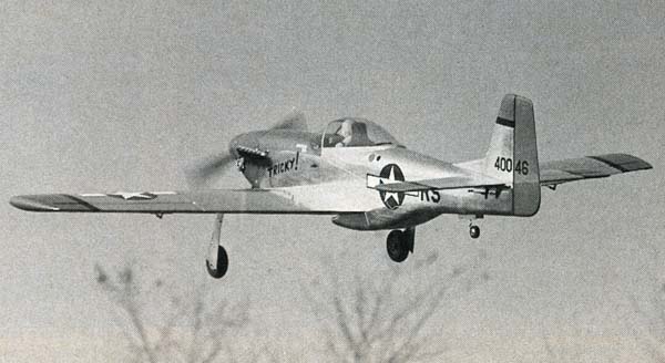 P-51 Mustang - Image 2